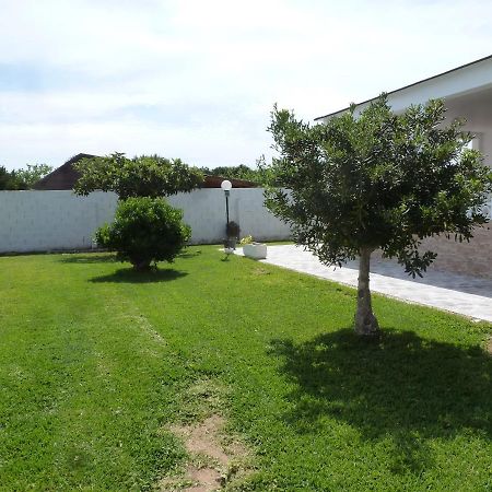 Chalet Verde Tavernes de la Valldigna Exterior foto